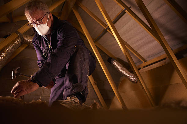 Best Insulation Repair Services  in Athens, IL